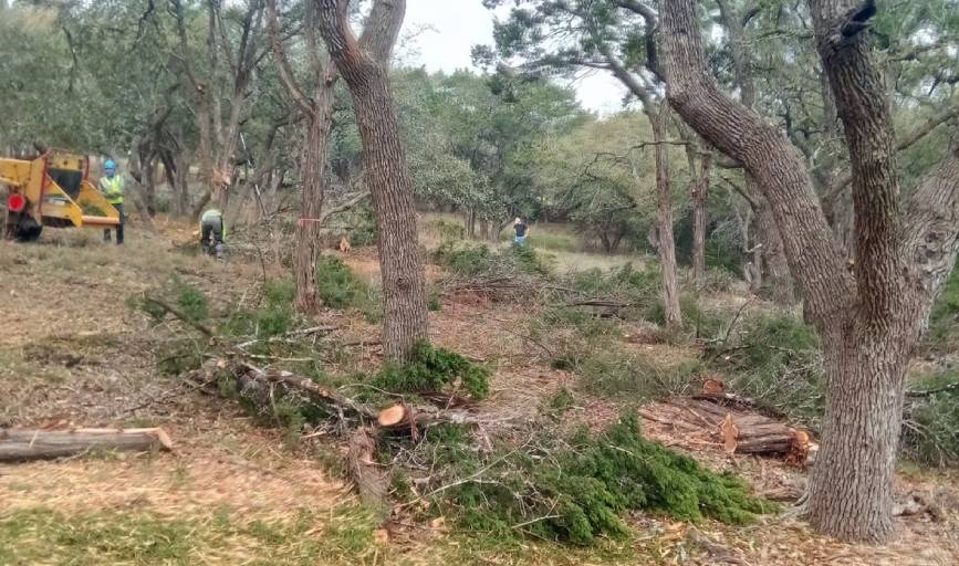 Ortiz Brothers Tree Service